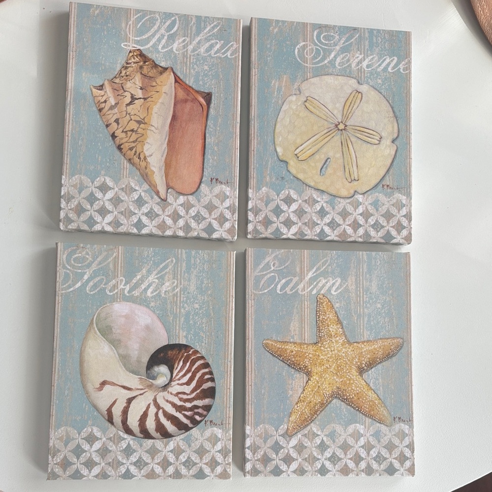 Coastal Seashell Wall Art Set by Paul Brent